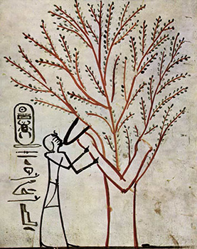 Ancient Egyptian Depiction of the Tree of Life and the Goddess Hathor.
